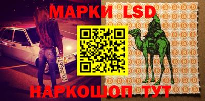 скорость Новозыбков