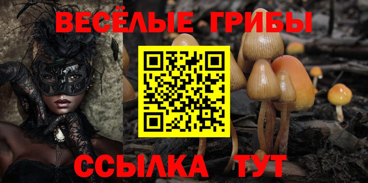Галлюциногенные грибы Cubensis  Вход с VPN  Сочи 